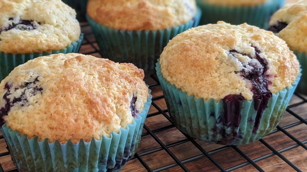 Blueberry Muffins - Green Thumb Foodie